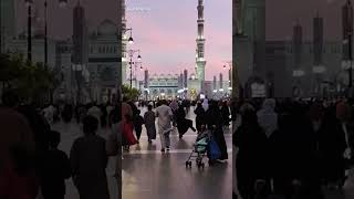 #Shorts #Short #madinahalmunawwarah #madinah #saudiarabia #shortsfeed #shortvideo #shortvideos