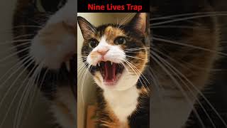 The Nine Lives Trap - D&D Trap Preview #shorts #dnd