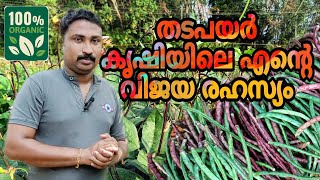 തടപയർ കൃഷിയിലെ എന്റെ വിജയ രഹസ്യം | Organic farming in kerala