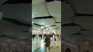 #asmairshad #islamic #madina #makkah #religion #shortvideo #youtube #islamicvideo #youtubeshorts #😭🤲