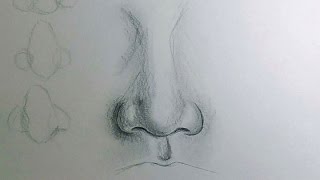 How to Draw a Nose