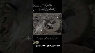 اگه دیدی کسی رشد شاخ بازیش زیاد اینو نشونش بده رفیق