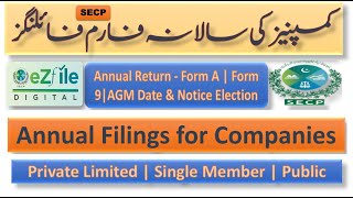 SECP Annual Return Filing for Companies. How to file #Form A & 29 under Companies Act 2017. #format