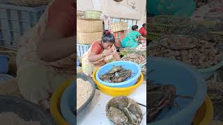 Live Crab at Panvel Market #shorts #fishmarket #fish #viral #crab