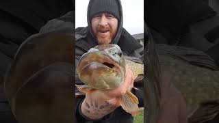 Canal pike fishing.... video coming soon