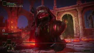 Rl1 No roll/block/parry - Mohg Lord of Blood - Elden Ring