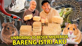 UNBOXIMG 10 BESEK MISTERIUS ISI HEWAN BARENG ISTRI AKU! REAKSINYA LUCU BANGET!