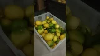 lemonnya segar banget