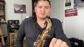 Las Avispas - Juan Luis Guerra - RamirezSax Practice Session 🎷