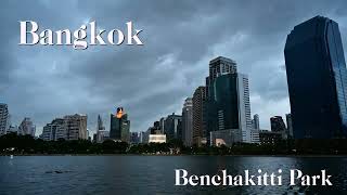 Benchakitti Park 4K time lapse ｜NikonZ 6Ⅱ｜