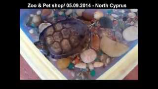 Zoo & Pet shop in Famagusta / Northern Cyprus - Hayvanat bahçesi / Kuzey Kıbrıs