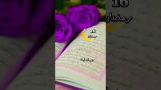 دعاء اليوم السادس عشر من رمضان المبارك ❤️🤍 #رمضان #اسلام #اعمال #youtube #القرآن_الكريم #instavideo