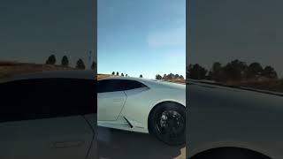 Sheepy race lambo, cruising on a highway.