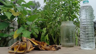 how to make fertilizer for plants at home