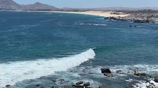 Dining with a View: Gulf Coast Restaurant in Cabo San Lucas!