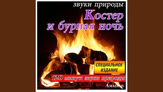 Пение птиц от Аризонской пустыне: звуки природы (Bonus Track)