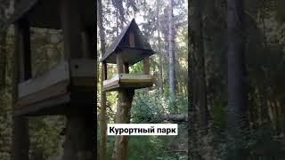 Курортный парк в Плёсе