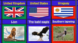 National Animals of Countries   Flags and Animals Comparisons.