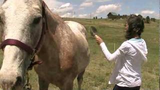 Poole Ranch Cowgirl