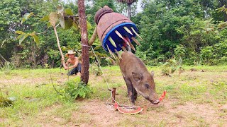 Build Wild boar Trap Using Big Sharp wood Fall in to Deep Hole #wildanimal #shortvideo