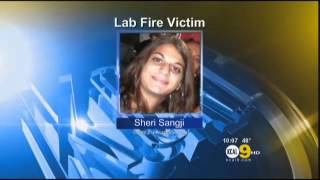 UCLA Professor Charged In Lab Fire