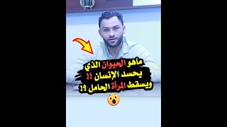 ماهو الحيوان الذي يحسد الانسان⁉️وماهو الحيوان الذي يأخذ البصر  ويسقط المرأة الحامل⁉️🤔