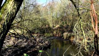 A Walk along the River Yarrow 15 February 2014