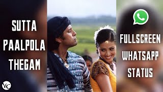 Sutta Paal Pola | Andakakka Kondakari | Anniyan | FullScreen Whatsapp status | 1080p 60FPS