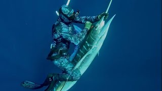 Marlin Mayhem - Spearfishing Mexico