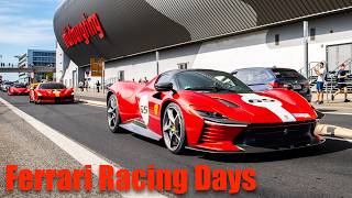 Cars Arriving At Ferrari Racing Days - SP3, ENZO Powerslide, LaFerrari, 812 Competizione, SF90 XX..