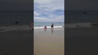 sunny day Aldinga beach