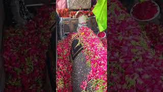 Mira datar dargah Urs stetus|whatsapp qawwali status|2024new qawwali|Famous qawwali|mira data