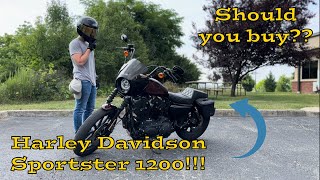 Watch this BEFORE you buy a Sportster 1200!!!