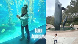 Baby’s First Visit to Birch Aquarium