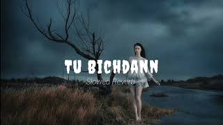 Tu Bichdann | Ajay Devgn | Sonakshi Sinha | Slowed Reverb, Lo-fi Song