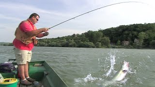 Pecanje smuđa na Dunavu kod Grocke | Fishing zander