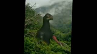 footage of therizinosaurus!1!1!1!1!1