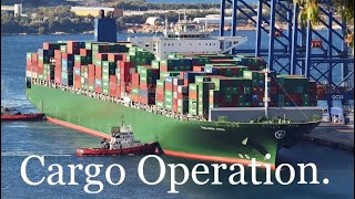 Cargo Operation. How containers are loaded.!!