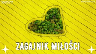 ZAGAJNIK MIŁOŚCI, Skarszyn // Heart from the drone 4K 💛 Serce w rzepaku 💛#weekendjanusza