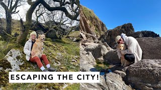 ESCAPING THE CITY! | Estée Lalonde