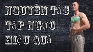 Những Nguyên tắc tập Cơ Ngực hiệu quả trong Gym | Một buổi tập cơ Ngực cường độ cao và đầy áp lực