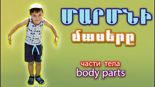 Մարմնի մասեր / части тела / body parts / Արենչիկ 5տ / TaronAren