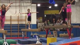 Gymnastics 2017