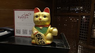 🔴 Live | Kyoto Restaurant - Tapaniaky Japanese | Barcelo Bavaro Palace | Punta Cana