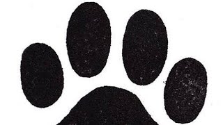 EARN FREE PAWS AIRDROP WHICH CAN GIVE YOU $2000+ JUST BY COMPLETING FEW TASKS ON TELEGRAM