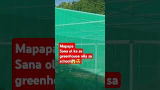 Greenhouse(PTA project) #ASMR #highlights