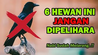 Muslim Wajib Tahu! 6 Hewan Ini Dilarang Dipelihara Dalam Islam