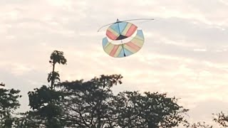 Testing layangan gapangan pegon kecil ||small pegon kite trial