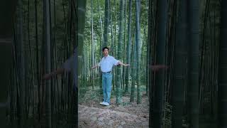 XIAO ZHAN at Bamboo Forest