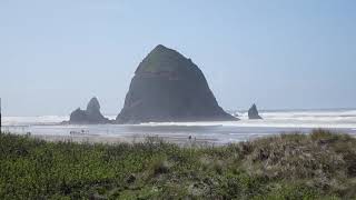 LTC Moments of Zen: Oregon Coastal Walk Along Cannon Beach